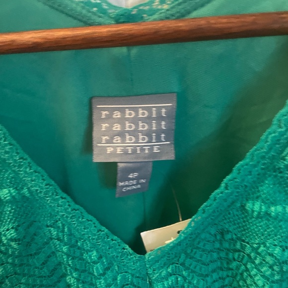 Rabbit Rabbit Rabbit Design Short Sleeve Lace Fit + Flare Dress 4 petite Green - Picture 6 of 10